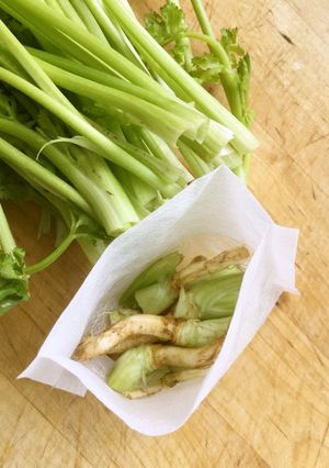 香菜の根っこの使い方-レシピのメイン写真