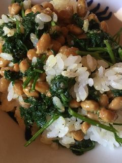 納豆とパセリの胡麻和えのご飯-レシピのメイン写真
