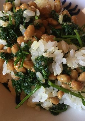 納豆とパセリの胡麻和えのご飯-レシピのメイン写真
