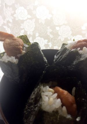 お母ちゃんの天むす （冷凍エビ）-レシピのメイン写真