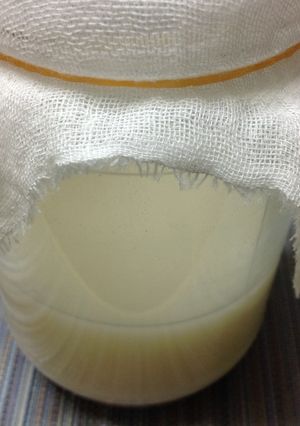 ☆① 酒饅頭の種 気温が20℃以下の時-レシピのメイン写真