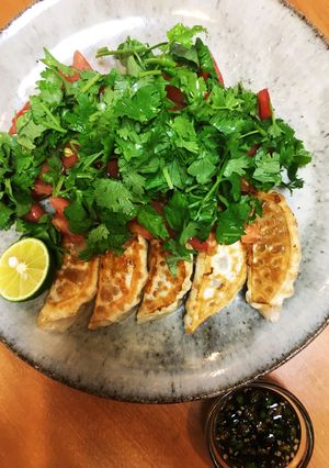 パクチーとトマトのサラダ乗せの焼き餃子-レシピのメイン写真