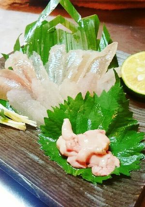 ハゼの刺身とハゼ肝の刺身-レシピのメイン写真