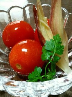 みょうがとトマトの甘酢マリネ-レシピのメイン写真