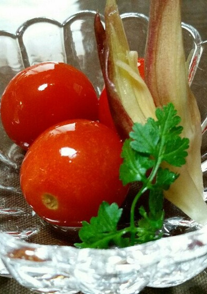 みょうがとトマトの甘酢マリネ-レシピのメイン写真