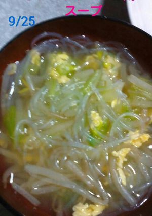野菜たっぷりもやしとキャベツの春雨スープ-レシピのメイン写真