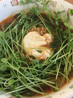 卵&豆苗たっぷり 辛ラーメン-レシピのメイン写真