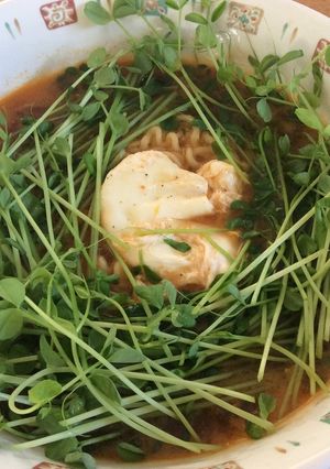 卵&豆苗たっぷり 辛ラーメン-レシピのメイン写真