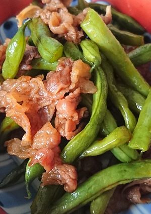 インゲンと牛肉のピリ辛当座煮-レシピのメイン写真