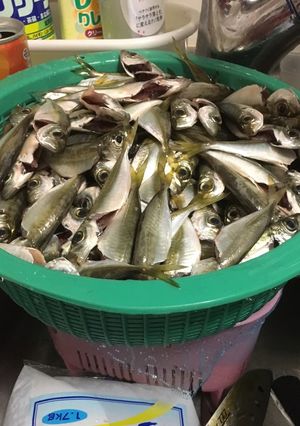 指だけで簡単☆豆アジの下処理の仕方-レシピのメイン写真