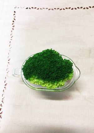 レンジで簡単、茹でブロッコリー。-レシピのメイン写真
