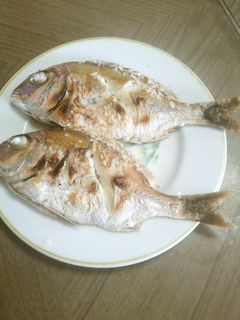 鯛の塩焼き-レシピのメイン写真