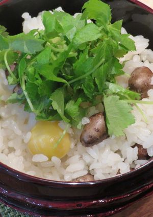 むかご ご飯-レシピのメイン写真