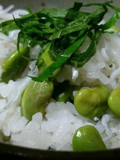 超簡単枝豆(冷凍茶豆)としらすの混ぜご飯-レシピのメイン写真