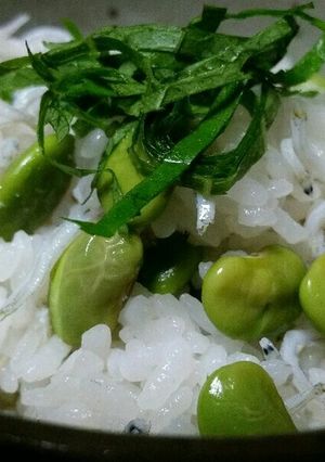 超簡単枝豆(冷凍茶豆)としらすの混ぜご飯-レシピのメイン写真