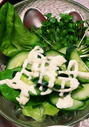 簡単!単純に美味しい☆グリーンサラダ-レシピのメイン写真