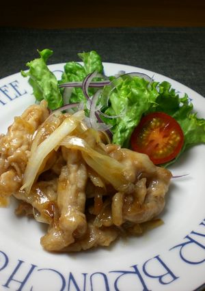 豚肉と長ネギの梅ソテー-レシピのメイン写真