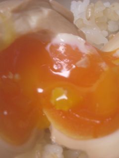 半熟卵の作り方-レシピのメイン写真