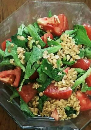 アイスプラントとトマトの納豆和え-レシピのメイン写真