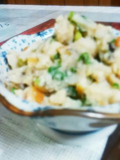 おから❗(卯の花)ゆりさん風-レシピのメイン写真
