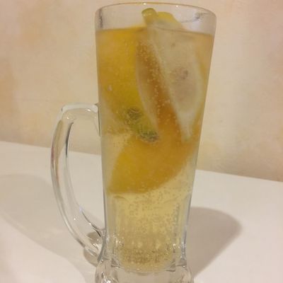 nemolukovich様 専用 ハイボール(レモン入り) 2点 基本からアレンジ