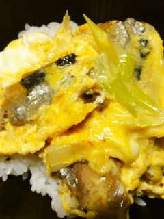 *薄味・さんまの蒲焼丼*-レシピのメイン写真