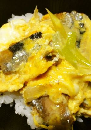 ＊薄味・さんまの蒲焼丼＊-レシピのメイン写真