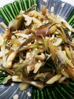みょうがとエリンギのゴマ油炒め★★-レシピのメイン写真