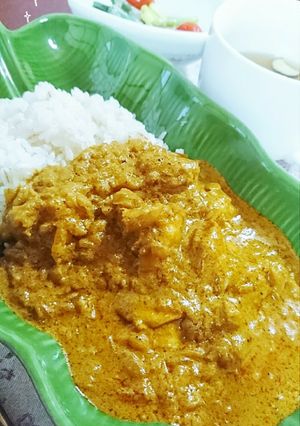噂のフジヲカレー♪(本格的インドカリー)-レシピのメイン写真