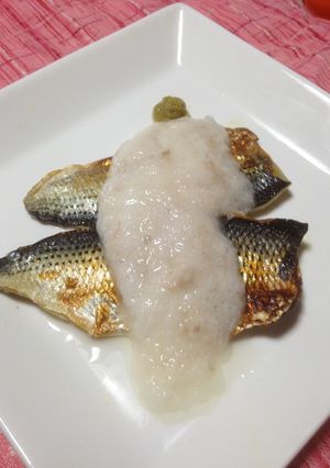 簡単♪コハダのあぶり焼き風-レシピのメイン写真