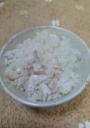 贅沢!釣りあげた鯛の鯛めし(^^)v-レシピのメイン写真