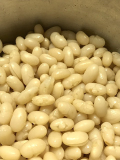 豆の茹で方 いんげん類-レシピのメイン写真