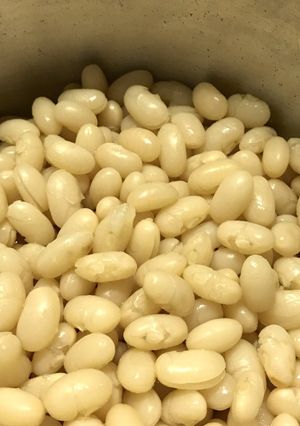 豆の茹で方 いんげん類-レシピのメイン写真