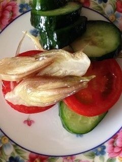 みょうがときゅうりのサラダ-レシピのメイン写真