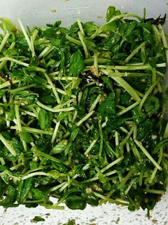 豆苗サラダ-レシピのメイン写真