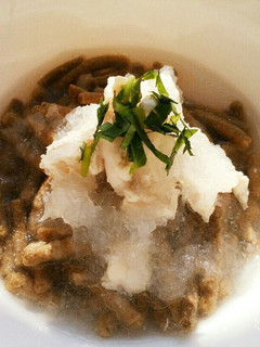 犬ご飯 鶏みぞれあんかけ-レシピのメイン写真