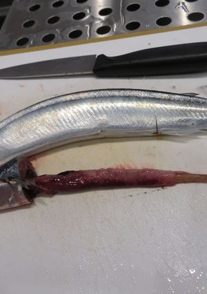 秋刀魚の腸を簡単に抜く方法-レシピのメイン写真
