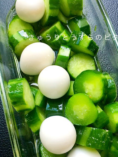 漬けるだけ♪きゅうりとうずらのピクルス-レシピのメイン写真