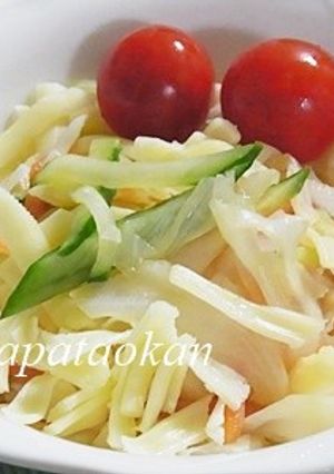 チーズとキャベツのあっさりサラダ♪-レシピのメイン写真