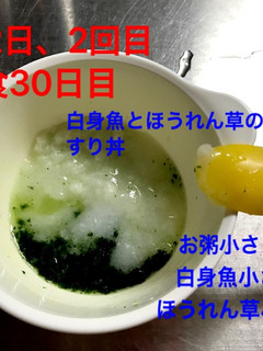 離乳食初期☆ほうれん草・小松菜-レシピのメイン写真