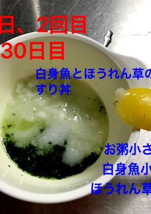 離乳食初期☆ほうれん草・小松菜-レシピのメイン写真