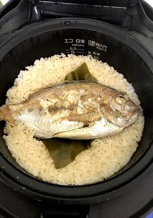 めちゃめちゃ美味しい！炊飯器で炊く鯛めし-レシピのメイン写真