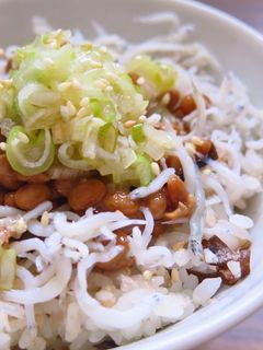 さっぱりネギ塩だれとしらすの納豆ご飯-レシピのメイン写真