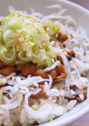 さっぱりネギ塩だれとしらすの納豆ご飯-レシピのメイン写真
