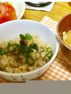 こぶおろしde鮭ごはん-レシピのメイン写真