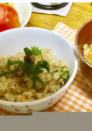 こぶおろしde鮭ごはん-レシピのメイン写真
