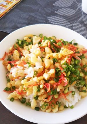 【THE ズボラ飯】ポンかす丼！-レシピのメイン写真