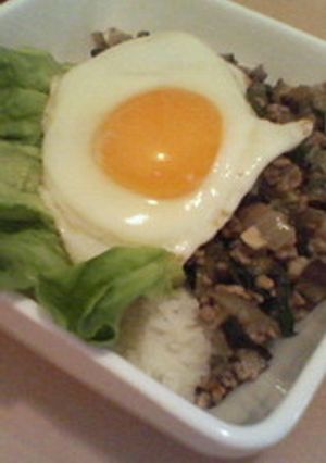 夏にぴったりの丼！タイの香り　☆ガパオ☆-レシピのメイン写真