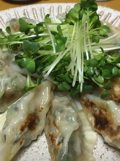 野菜たっぷり♡ヘルシー餃子-レシピのメイン写真