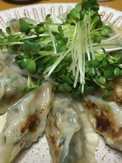 野菜たっぷり♡ヘルシー餃子-レシピのメイン写真